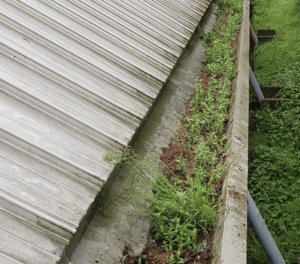 Happy customers in Chipping Norton who trust The Roof Moss Cleaners for gutter cleaning services